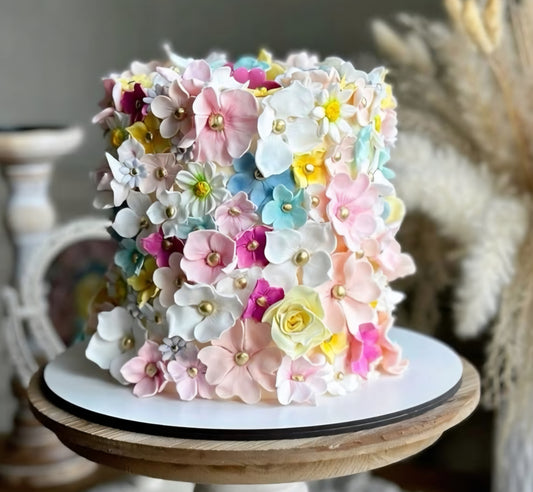 September 19th  Cake Class    Save description info